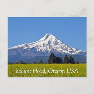 Mount Hood in Oregon USA Postcard