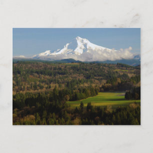 Mount Hood, Jonsrud Viewpoint, Sandy, Oregon Postcard