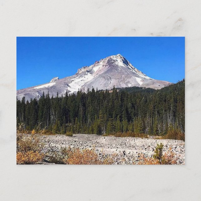 Mount Hood, Oregon Postcard (Front)