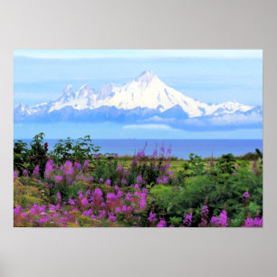 Mount Iliamna Alaska  Poster