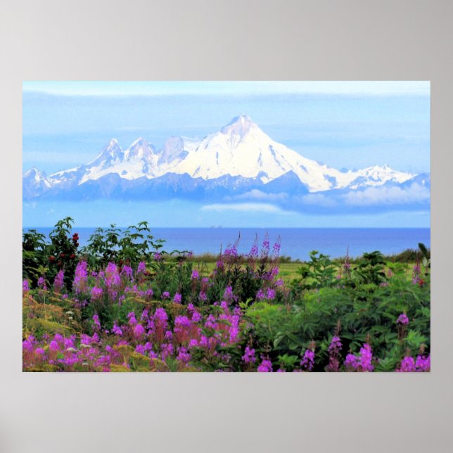 Mount Iliamna Alaska  Poster (Front)