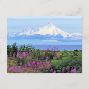 Mount Iliamna in Alaska Postcard