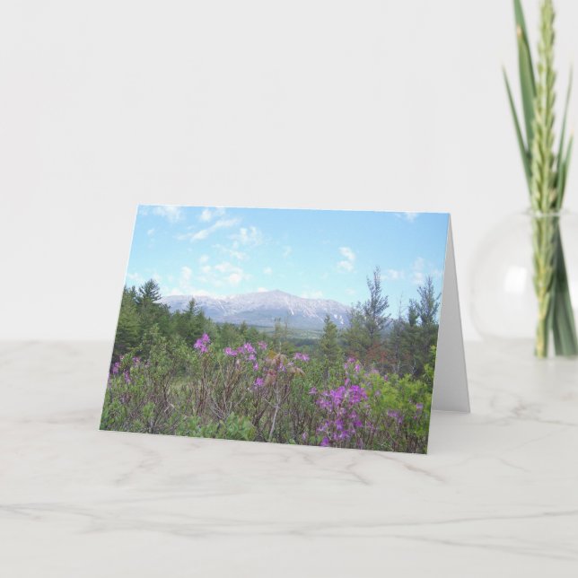 Mount Katahdin and wildflowers Card (Front)