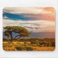 Mount Kilimanjaro | Amboseli, Kenya