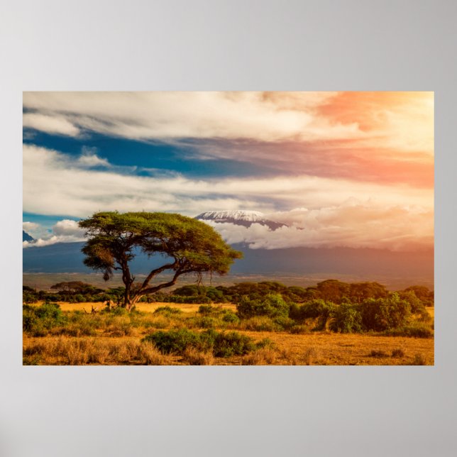 Mount Kilimanjaro | Amboseli, Kenya Poster (Front)