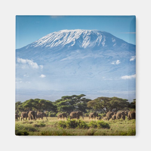 Mount Kilimanjaro Magnet (Front)