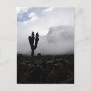 Mount Kilimanjaro (portrait) Postcard