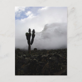 Mount Kilimanjaro (portrait) Postcard