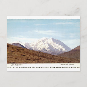 Mount McKinley Alaska Vintage Mountain View Postcard