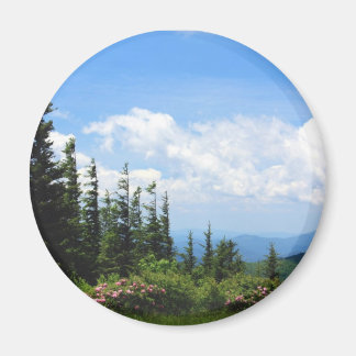 Mount Mitchell State Park Magnet