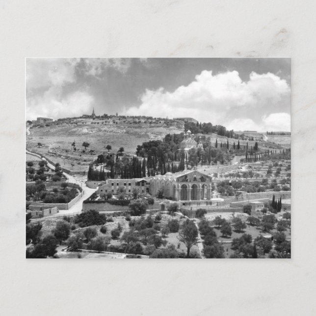 Mount of Olives and Garden Gethsemane in Jerusalem Postcard (Front)