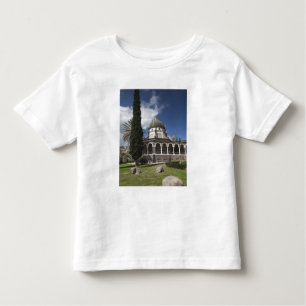 Mount of the Beatitudes Toddler T-Shirt