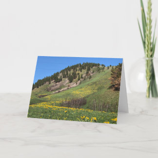 Mount Otis Havre, Montana Card