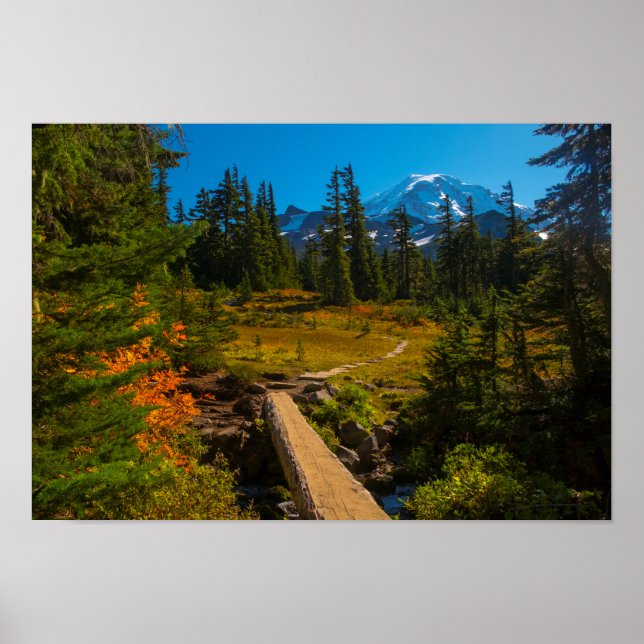 Mount Rainer, Spray Park autumn Poster (Front)