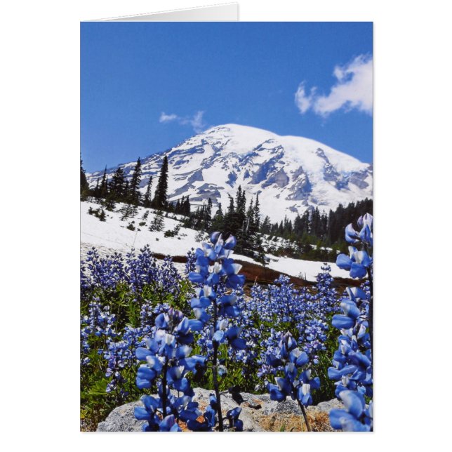 Mount Rainier at Paradise Point (Front)