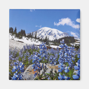 Mount Rainier at Paradise Point Magnet