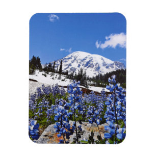 Mount Rainier at Paradise Point Magnet