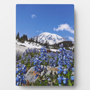 Mount Rainier at Paradise Point Plaque