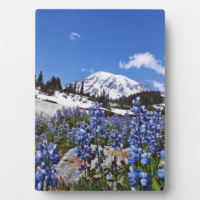 Mount Rainier at Paradise Point Plaque (Front)