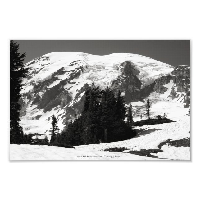Mount Rainier in June Photo Print (Front)