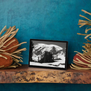 Mount Rainier in June Plaque