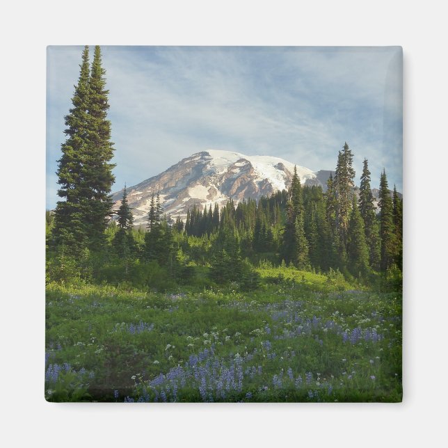Mount Rainier Morning Light Magnet (Front)