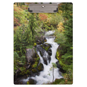 Mount Rainier National Park, autumn stream Clipboard