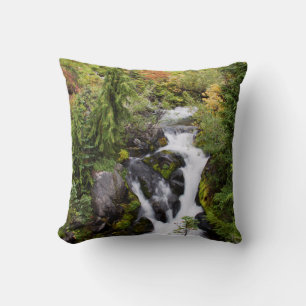 Mount Rainier National Park, autumn stream Cushion
