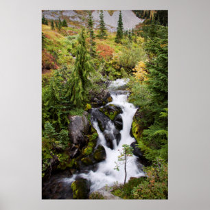 Mount Rainier National Park, autumn stream Poster
