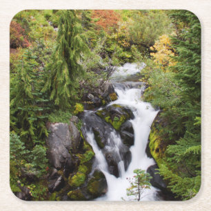 Mount Rainier National Park, autumn stream Square Paper Coaster
