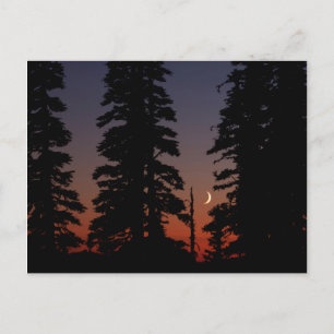 Mount Rainier National Park, Crescent Moon Postcard