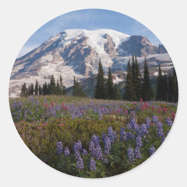 Mount Rainier National Park, Mount Rainier 3 Classic Round Sticker (Front)