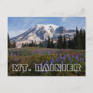 Mount Rainier National Park, Mount Rainier 3 Postcard