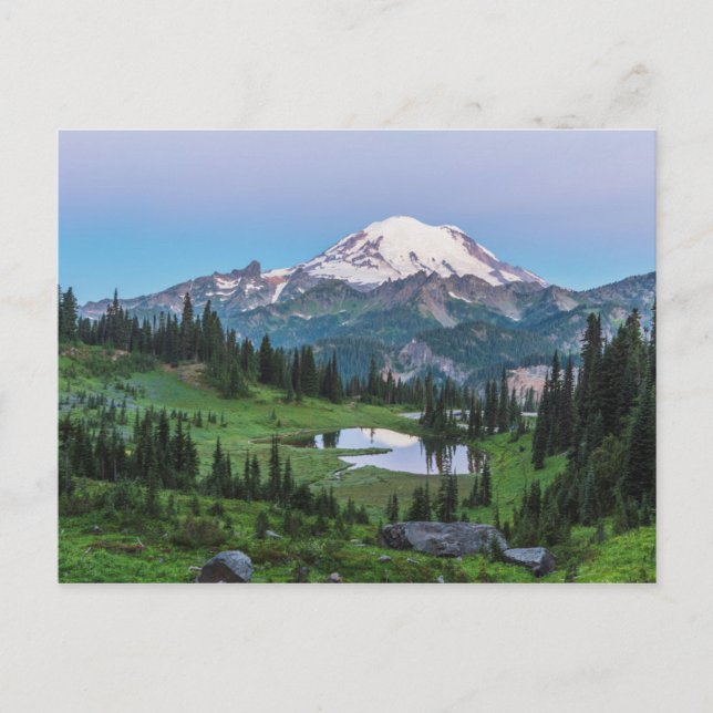 Mount Rainier National Park Postcard (Front)