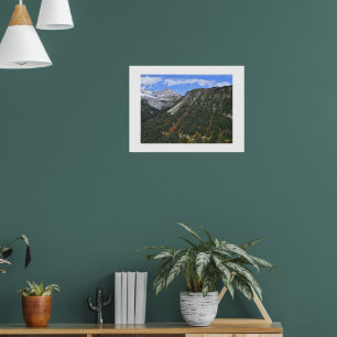 Mount Rainier National Park Scenic Canyon Poster