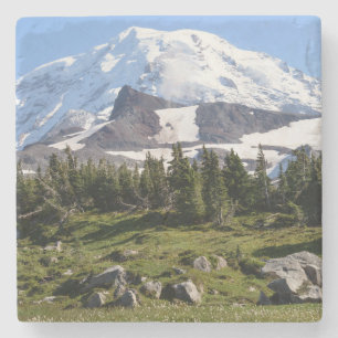 Mount Rainier National Park, WA. Spray Park Stone Coaster