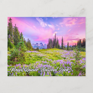 Mount Rainier National Park, Washington Postcard