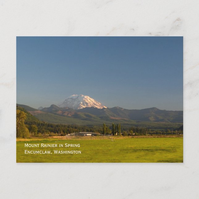 Mount Rainier Postcard (Front)