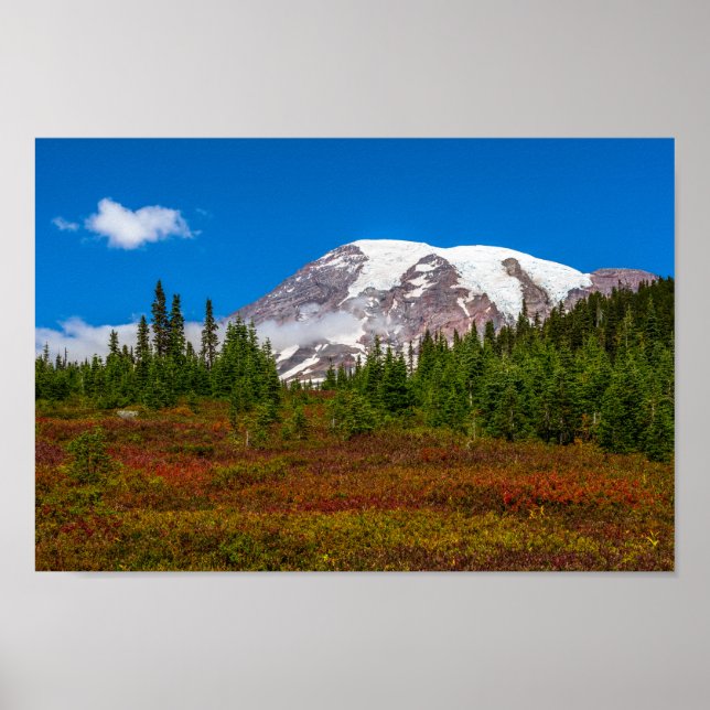 Mount Rainier Poster (Front)