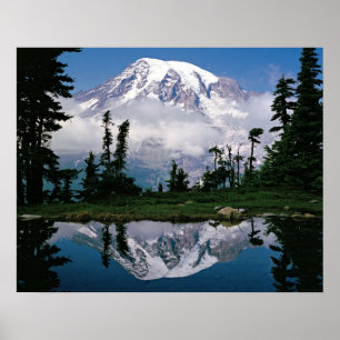 Mount Rainier relected in a mountain tarn Poster