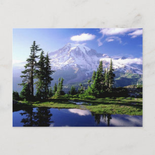Mount Rainier Washington Postcard