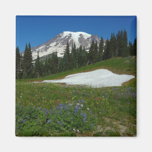 Mount Rainier, Wildflowers and Snow Magnet