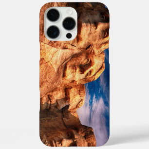 Mount Rushmore US Presidents iPhone 16 Pro Max Case