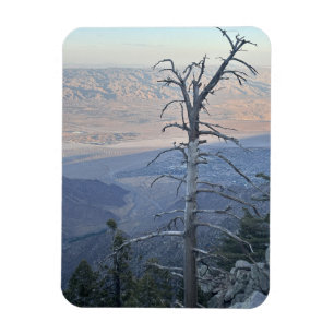 Mount San Jacinto State Park Magnet