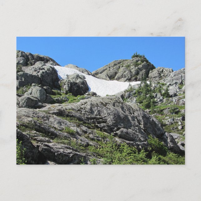 Mount Seymour View Postcard (Front)