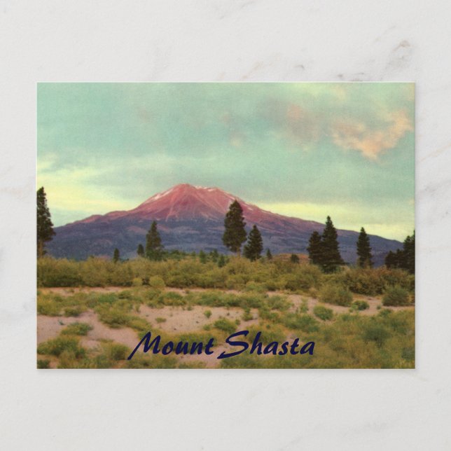 Mount Shasta Vintage Postcard (Front)