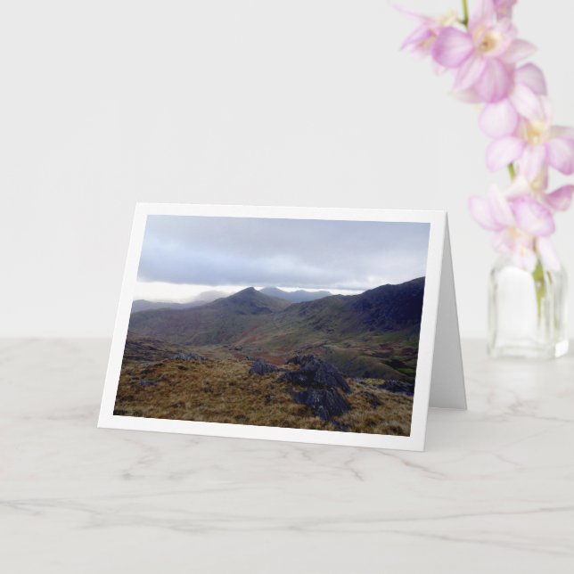 Mount Snowdon, Snowdonia National Park, Welsh Card (Orchid)