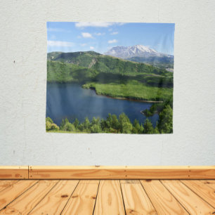 Mount St Helens Coldwater Lake Scenic Landscape Tapestry