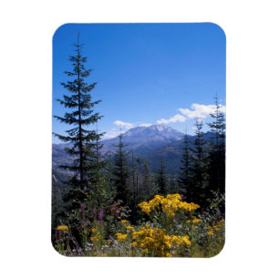 Mount St Helens Magnet