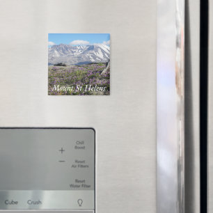 Mount St Helens Wildflowers Landscape Magnet